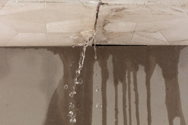 Professional Burst Pipe Cleanup technician working in Camden Point, MO